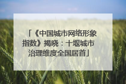 《中国城市网络形象指数》揭晓：十堰城市治理维度全国居首