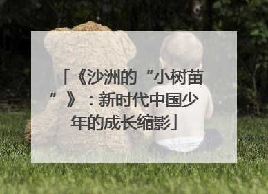 《沙洲的“小树苗”》：新时代中国少年的成长缩影