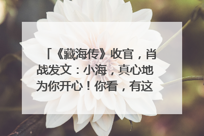 《藏海传》收官，肖战发文：小海，真心地为你开心！你看，有这么多人懂你！