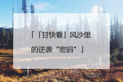 「甘快看」风沙里的逆袭“密码”
