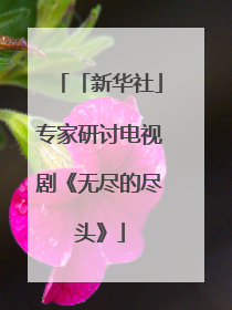 「新华社」专家研讨电视剧《无尽的尽头》