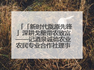 「新时代陇原先锋」深耕戈壁带农致富——记酒泉诚德农业农民专业合作社理事长范立德