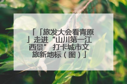 「旅发大会看青原」走进“山川第一江西景” 打卡城市文旅新地标（图）