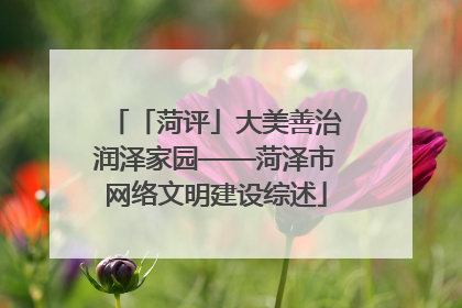 「菏评」大美善治润泽家园——菏泽市网络文明建设综述