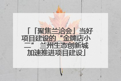 「聚焦兰洽会」当好项目建设的“金牌店小二” 兰州生态创新城加速推进项目建设