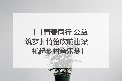 「青春同行 公益筑梦」竹笛吹响山梁 托起乡村音乐梦