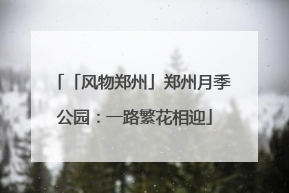 「风物郑州」郑州月季公园：一路繁花相迎