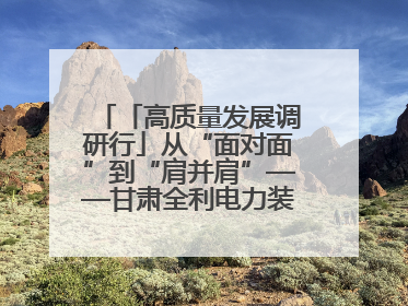 「高质量发展调研行」从“面对面”到“肩并肩”——甘肃全利电力装备生产制造项目一线见闻