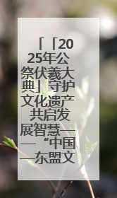 「2025年公祭伏羲大典」守护文化遗产 共启发展智慧——“中国—东盟文化遗产主题对话”侧记