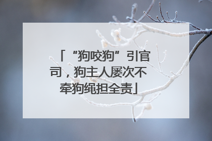 “狗咬狗”引官司，狗主人屡次不牵狗绳担全责