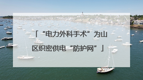 “电力外科手术”为山区织密供电“防护网”
