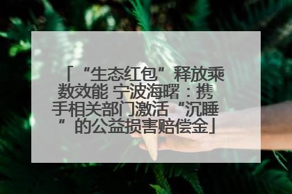“生态红包”释放乘数效能 宁波海曙：携手相关部门激活“沉睡”的公益损害赔偿金