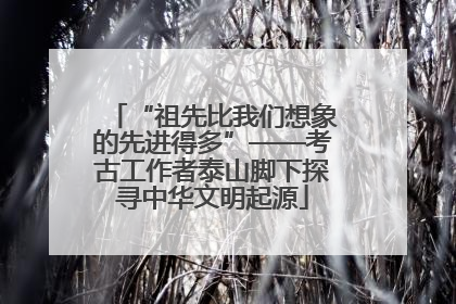 “祖先比我们想象的先进得多”——考古工作者泰山脚下探寻中华文明起源