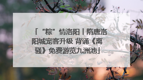 “粽”情洛阳丨隋唐洛阳城宠客升级 背诵《离骚》免费游览九洲池