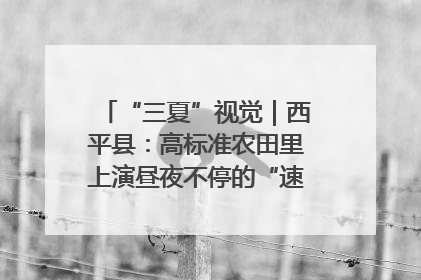 “三夏”视觉｜西平县：高标准农田里上演昼夜不停的“速度与激情”