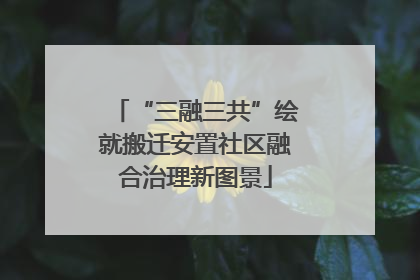 “三融三共”绘就搬迁安置社区融合治理新图景