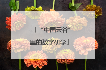 “中国云谷”里的数字研学