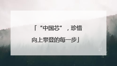“中国芯”，珍惜向上攀登的每一步