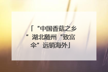 “中国香菇之乡”湖北随州“致富伞”远销海外
