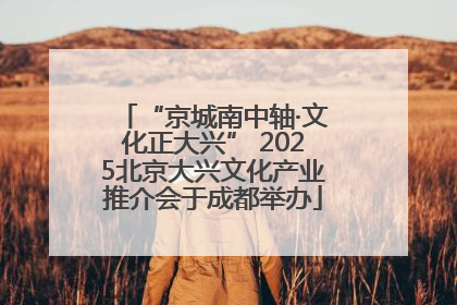 “京城南中轴·文化正大兴” 2025北京大兴文化产业推介会于成都举办