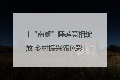 “南繁”睡莲竞相绽放 乡村振兴添色彩