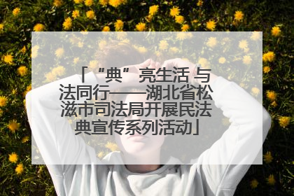 “典”亮生活 与法同行——湖北省松滋市司法局开展民法典宣传系列活动