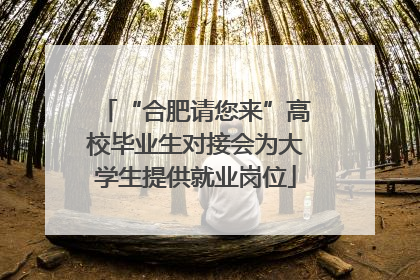 “合肥请您来”高校毕业生对接会为大学生提供就业岗位