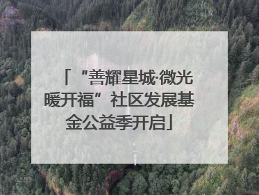 “善耀星城·微光暖开福”社区发展基金公益季开启