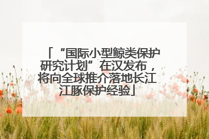 “国际小型鲸类保护研究计划”在汉发布，将向全球推介落地长江江豚保护经验