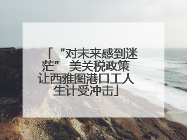 “对未来感到迷茫” 美关税政策让西雅图港口工人生计受冲击