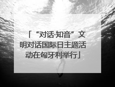 “对话·知音”文明对话国际日主题活动在匈牙利举行