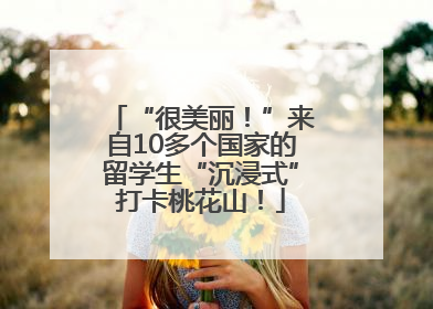 “很美丽！”来自10多个国家的留学生“沉浸式”打卡桃花山！