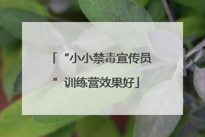 “小小禁毒宣传员”训练营效果好