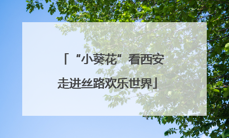 “小葵花”看西安走进丝路欢乐世界