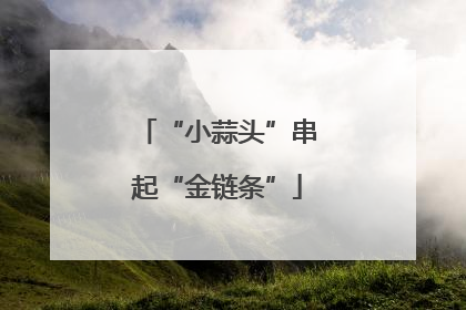 “小蒜头”串起“金链条”