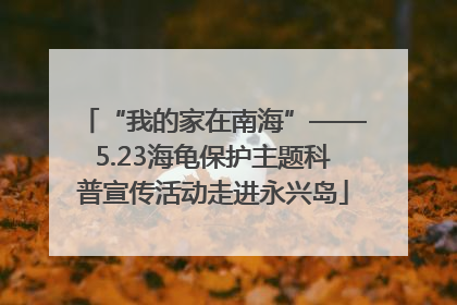 “我的家在南海”——5.23海龟保护主题科普宣传活动走进永兴岛