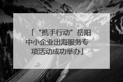 “携手行动”岳阳中小企业出海服务专项活动成功举办
