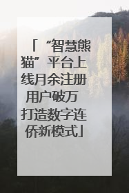 “智慧熊猫”平台上线月余注册用户破万 打造数字连侨新模式