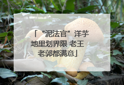 “泥法官”洋芋地里划界限 老王老郭都满意