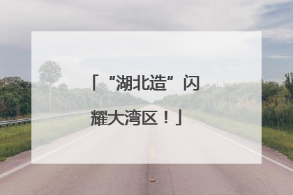 “湖北造”闪耀大湾区！