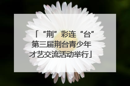 “荆”彩连“台” 第三届荆台青少年才艺交流活动举行