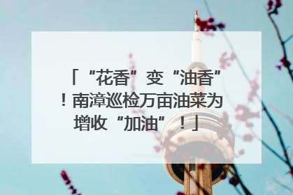 “花香”变“油香”！南漳巡检万亩油菜为增收“加油”！
