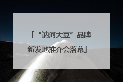 “讷河大豆”品牌新发地推介会落幕