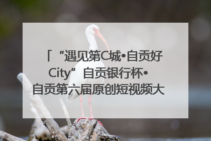 “遇见第C城•自贡好City”自贡银行杯•自贡第六届原创短视频大赛获奖名单出炉｜美好生活有“盐”味