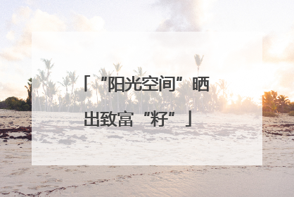 “阳光空间”晒出致富“籽”