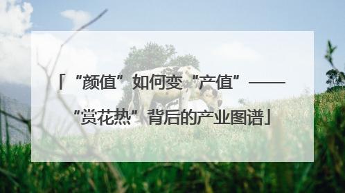 “颜值”如何变“产值”——“赏花热”背后的产业图谱