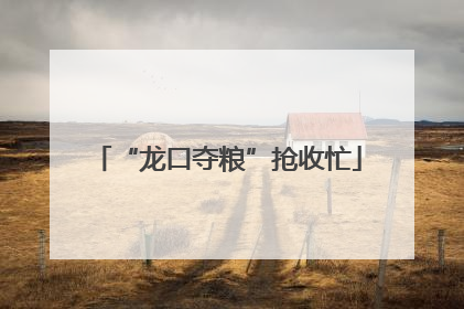 “龙口夺粮”抢收忙