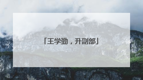 王学勤，升副部