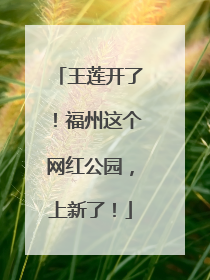 王莲开了！福州这个网红公园，上新了！