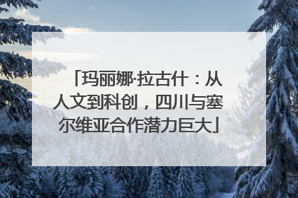 玛丽娜·拉古什：从人文到科创，四川与塞尔维亚合作潜力巨大